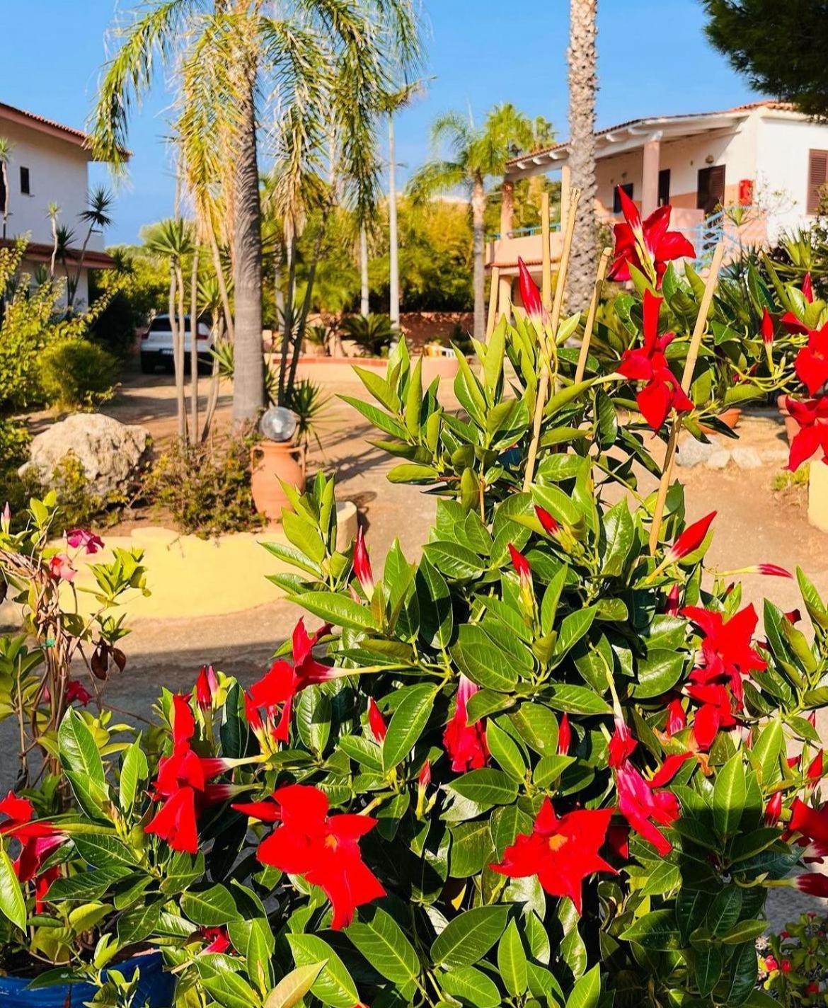 Hotel Grotticelle Capo Vaticano Bagian luar foto